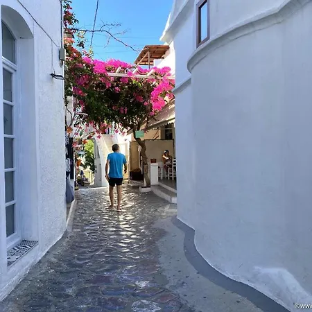 Apartment Mary's House Skyros